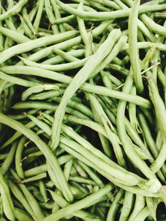 green beans piled up close and ready to be eaten