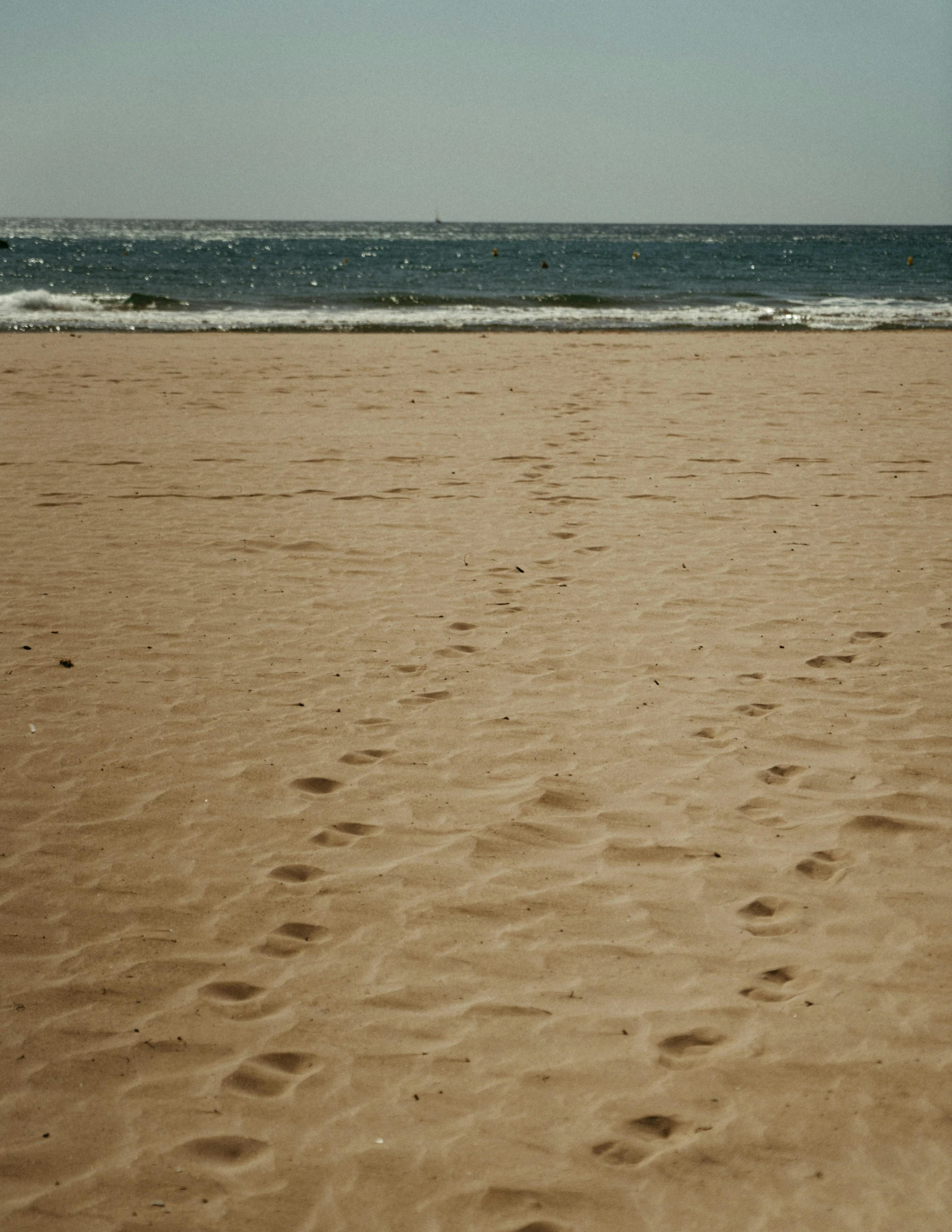 a beach scene with a frisbee laying on it