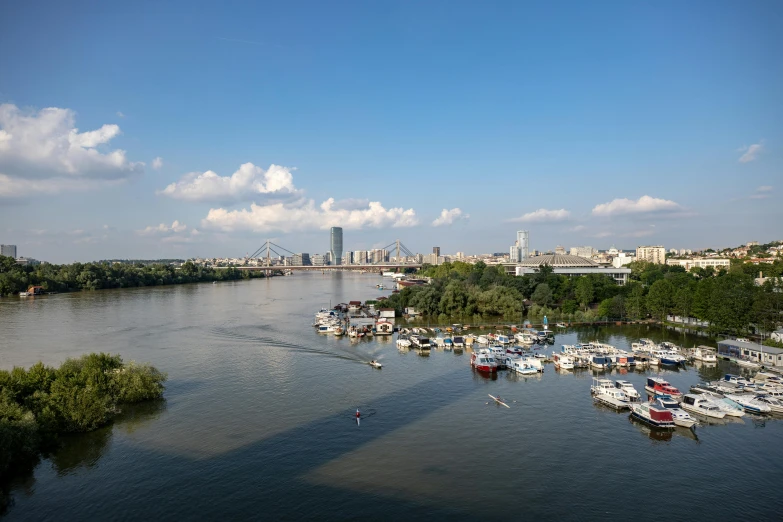 a view of boats on the water and a city skyline