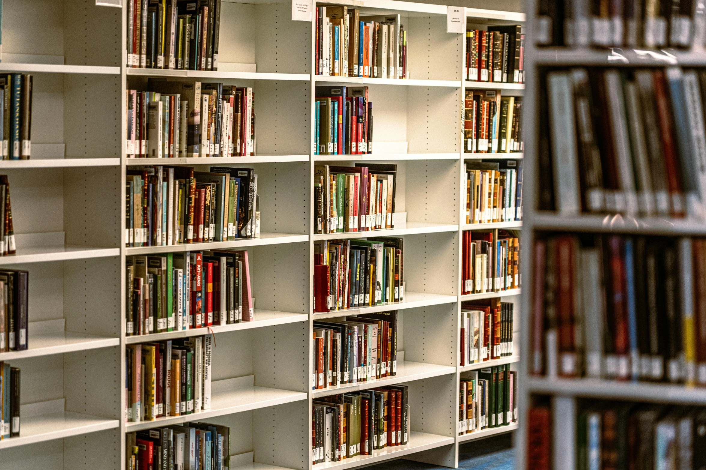 rows of shelves are full of books and dvds