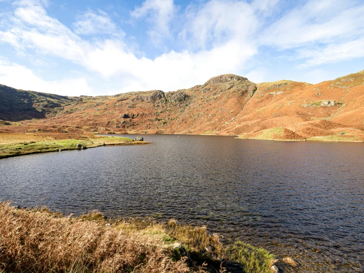 a body of water with mountains and trees in the background