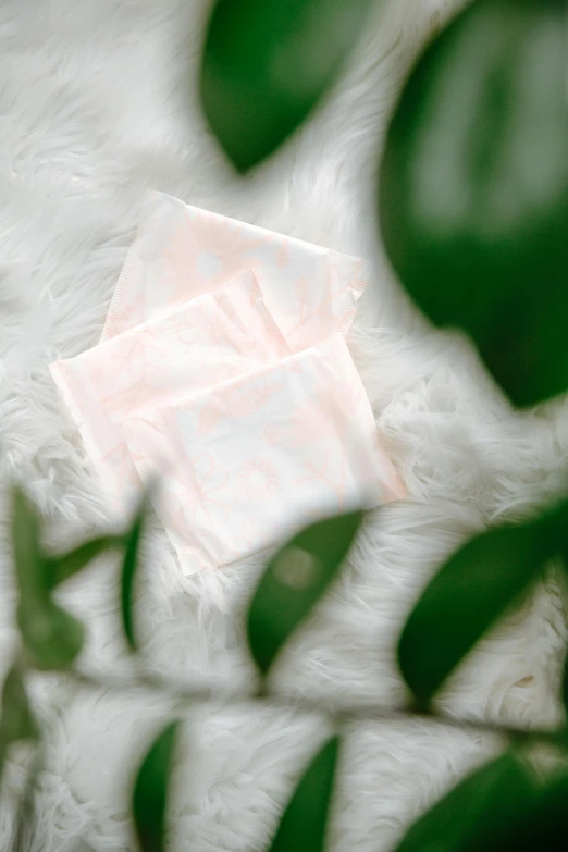 a white cloth and some green leaves on a white rug