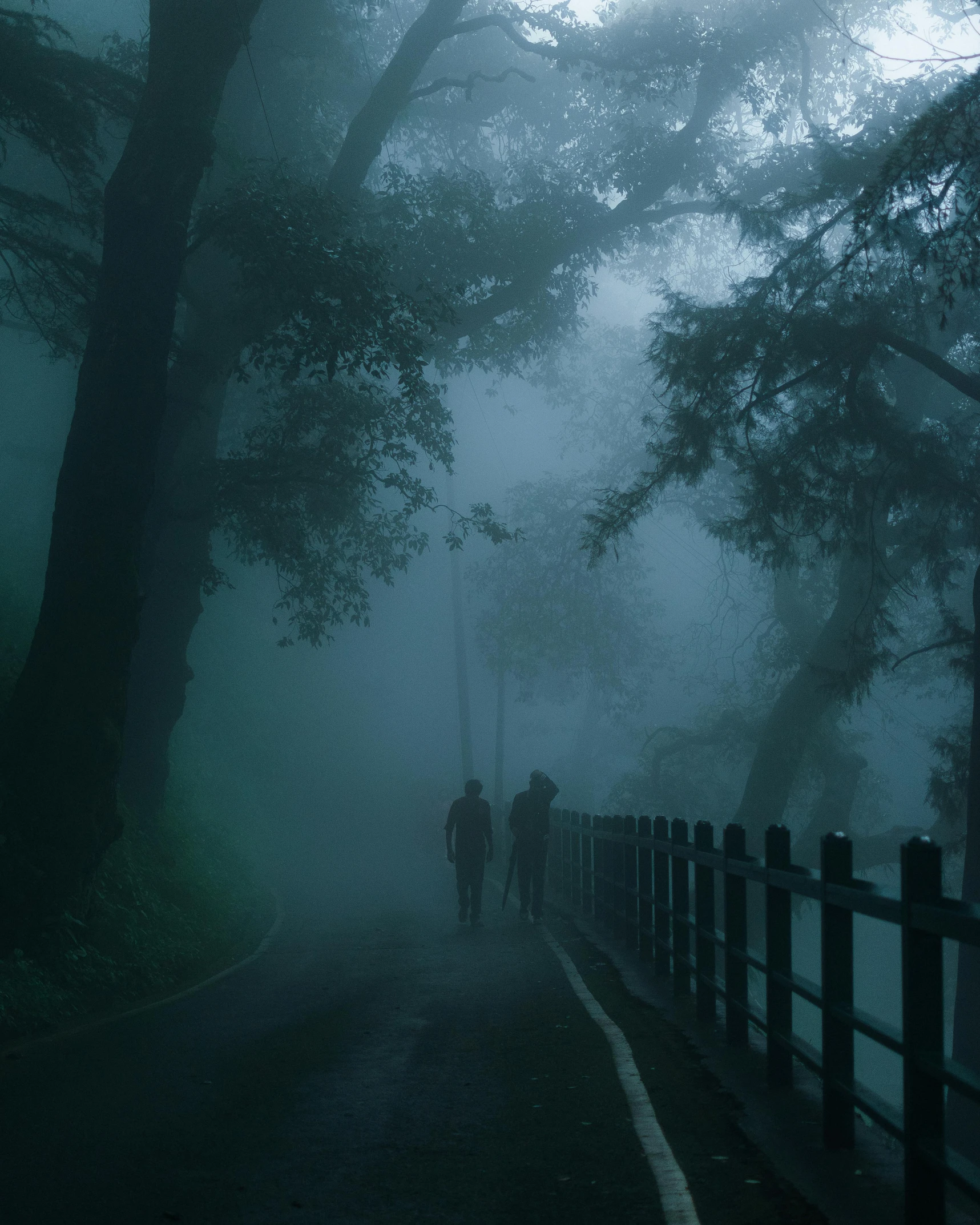 two people walking down the path through a foggy forest