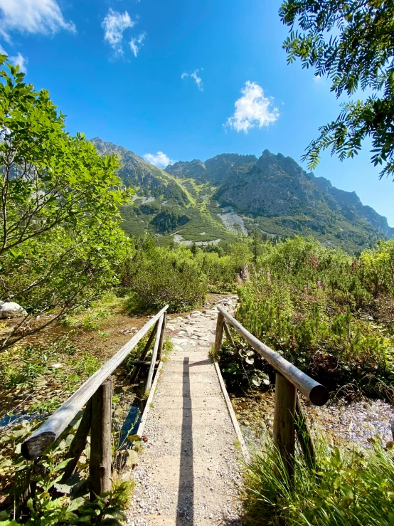 a walkway in the forest leading down to the mountain