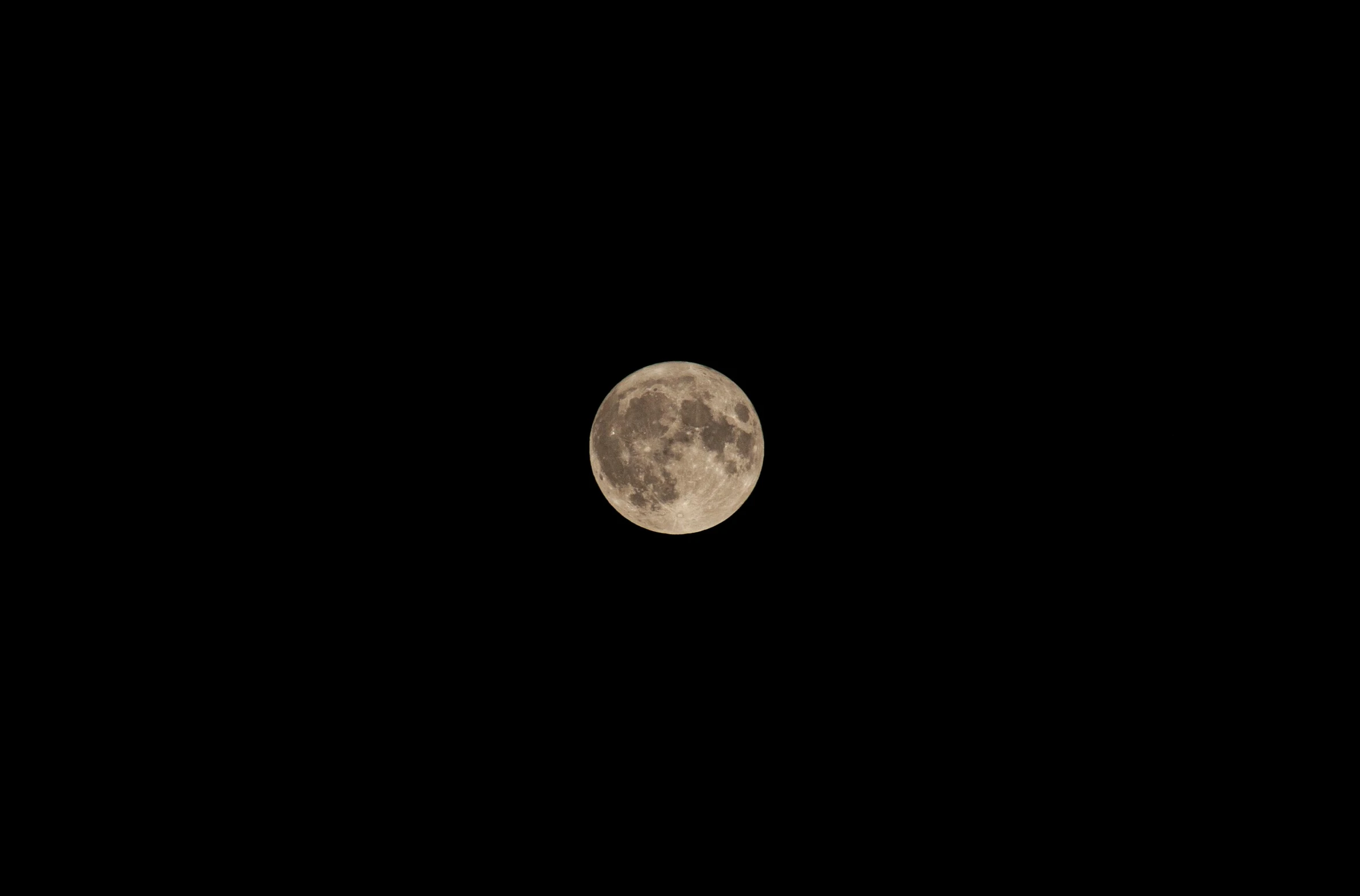 a black background with a full moon and one bird sitting on top of it