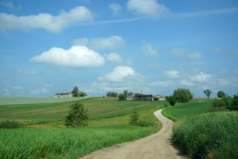 a dirt road in front of green fields