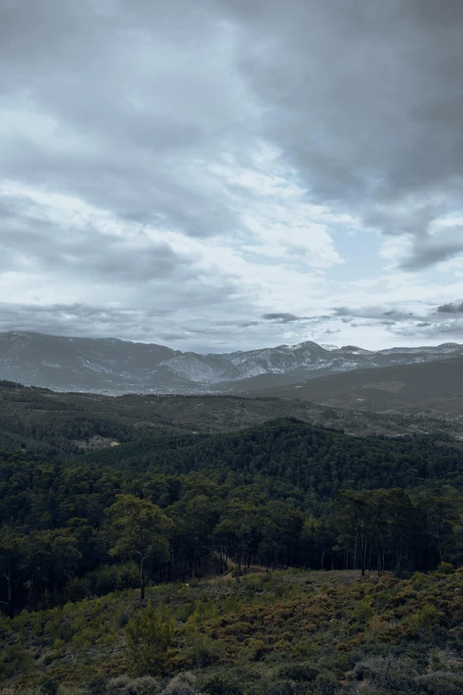 an open field with trees and hills in the distance