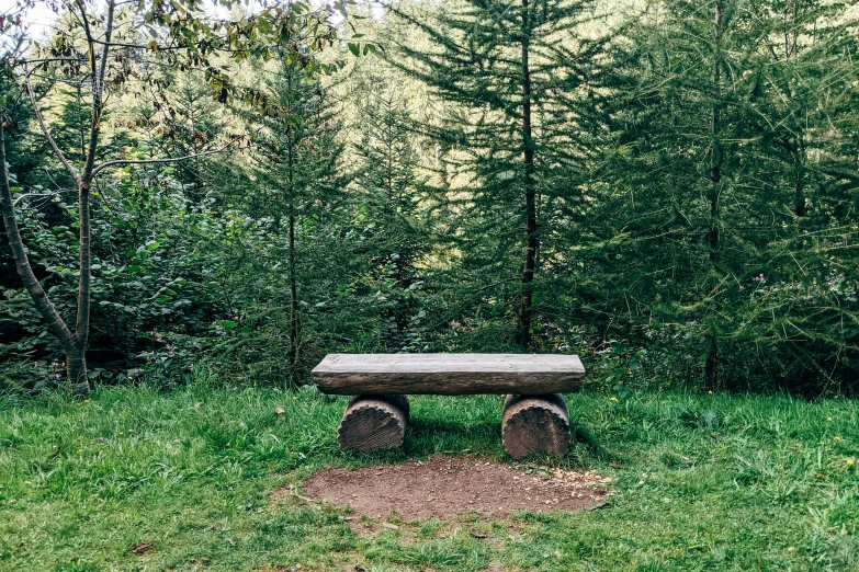 a bench sits in the middle of some grass