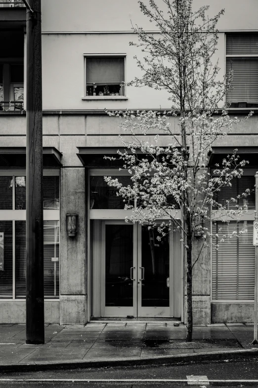 a tall building on a city street next to a tree