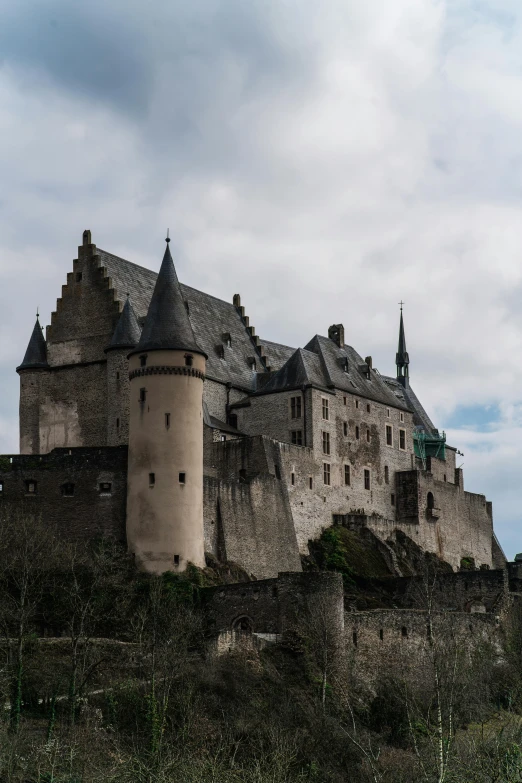 the castle is tall and gray with many windows