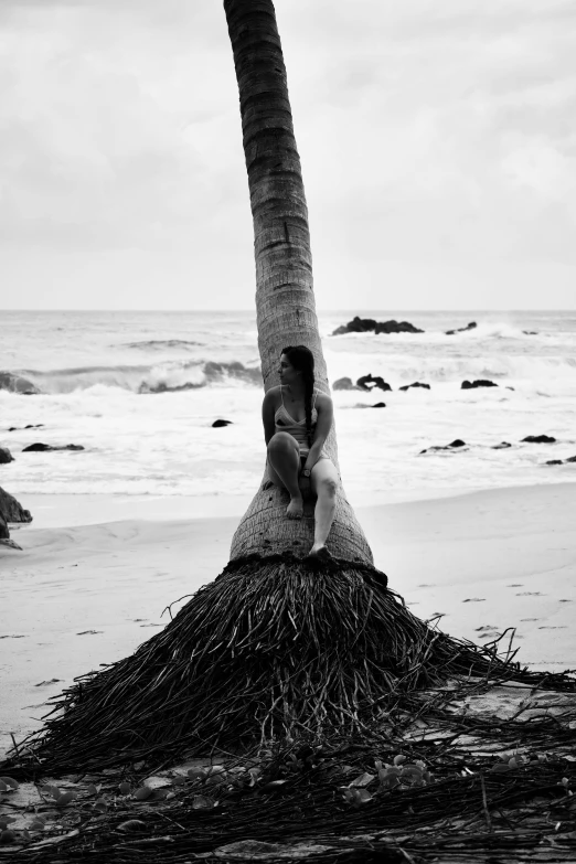 a woman laying under a palm tree on a beach