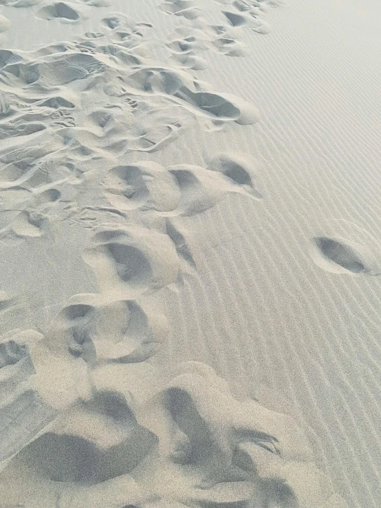 sand and grass covered by small stones or gravel