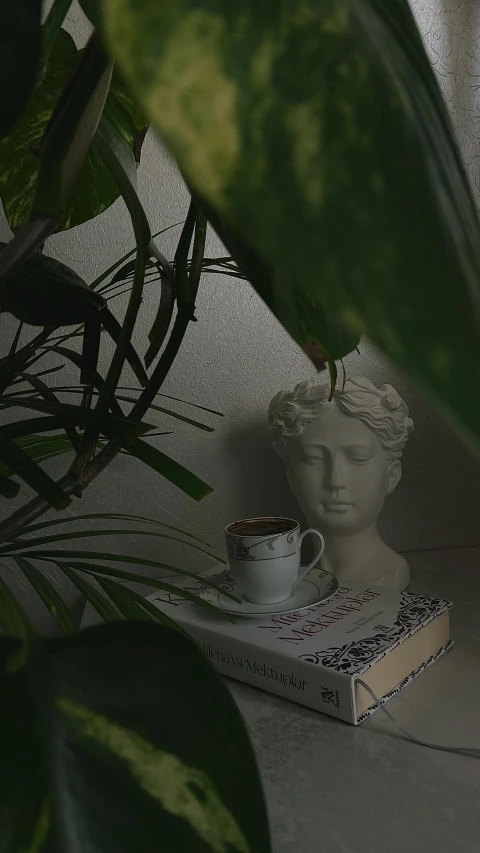 a white cup on a white table with greenery