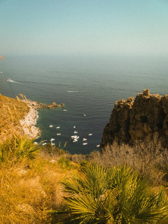 a hillside near the ocean and water with boats on it