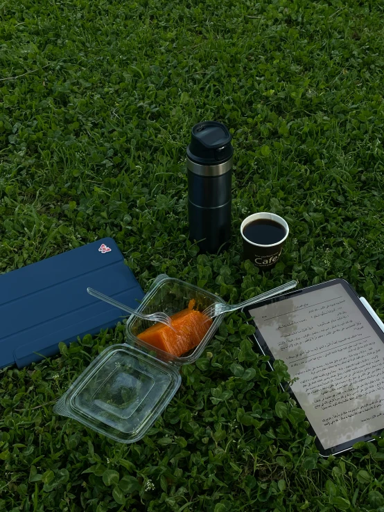 a meal in the grass with some utensils and an instruction book