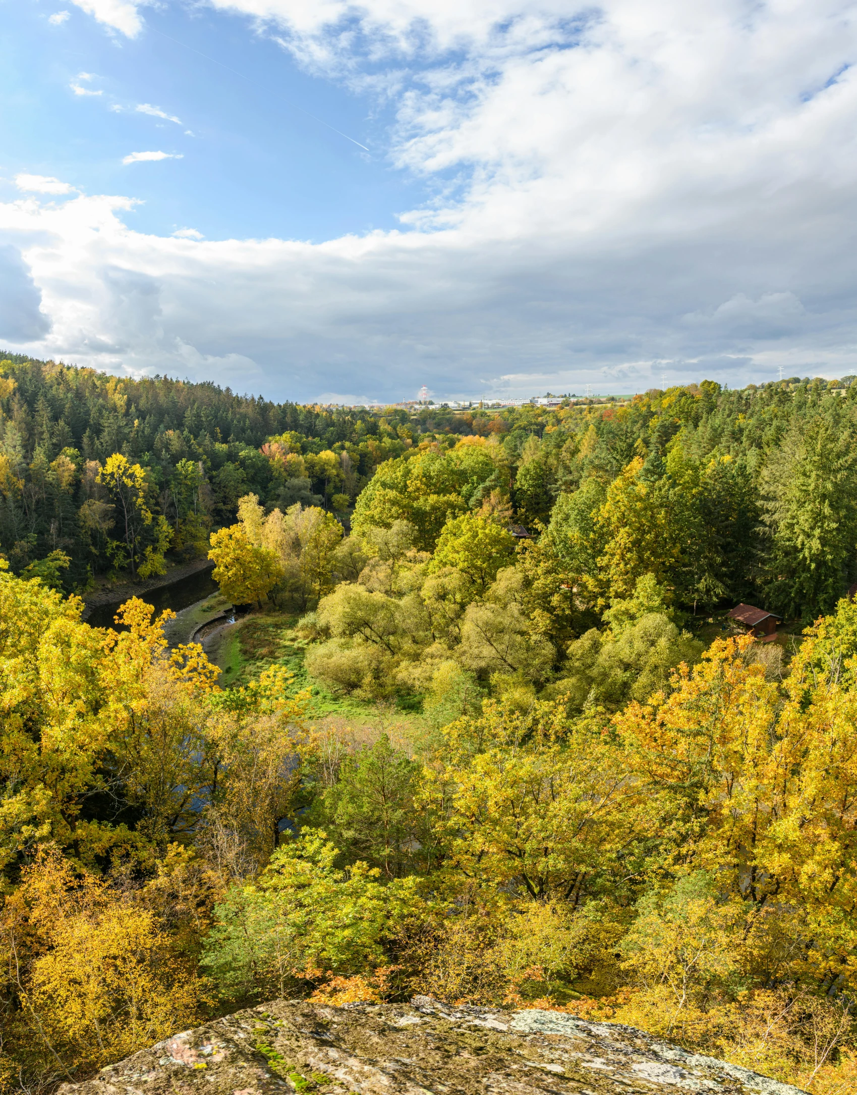 an aerial po of the forest canopy in fall