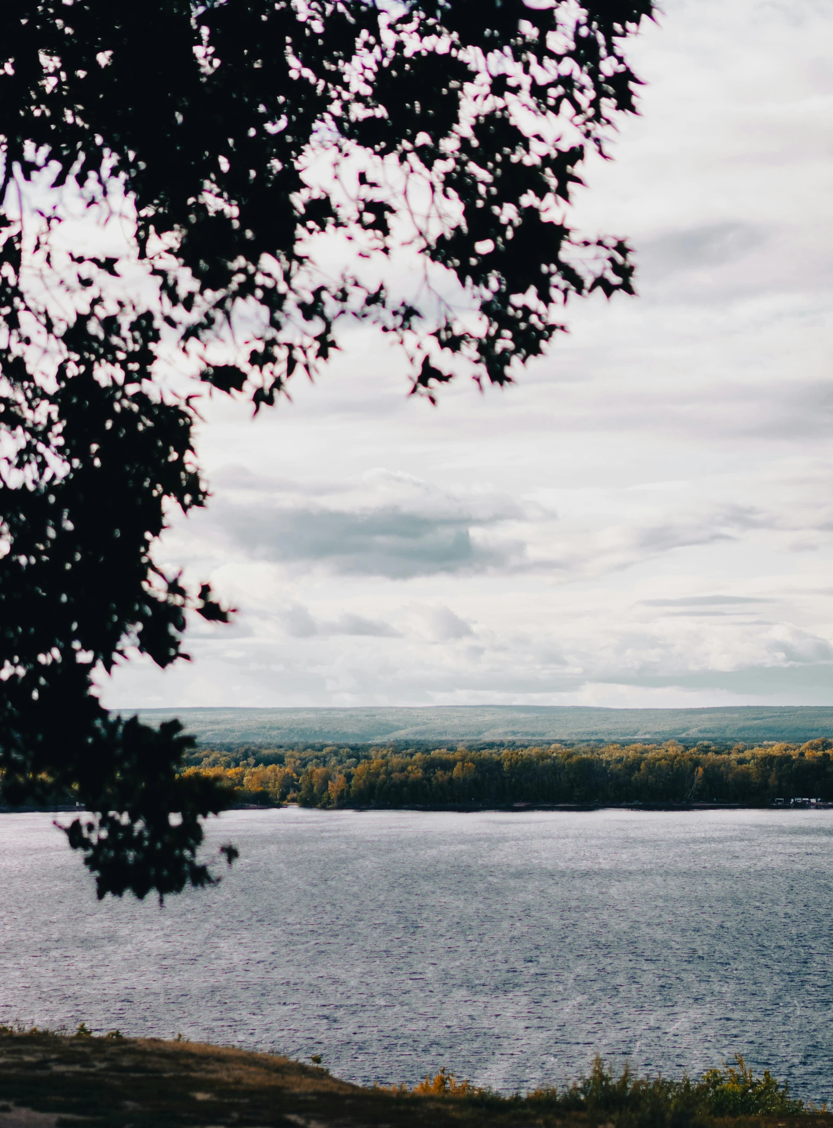 a scenic view of trees with the water below