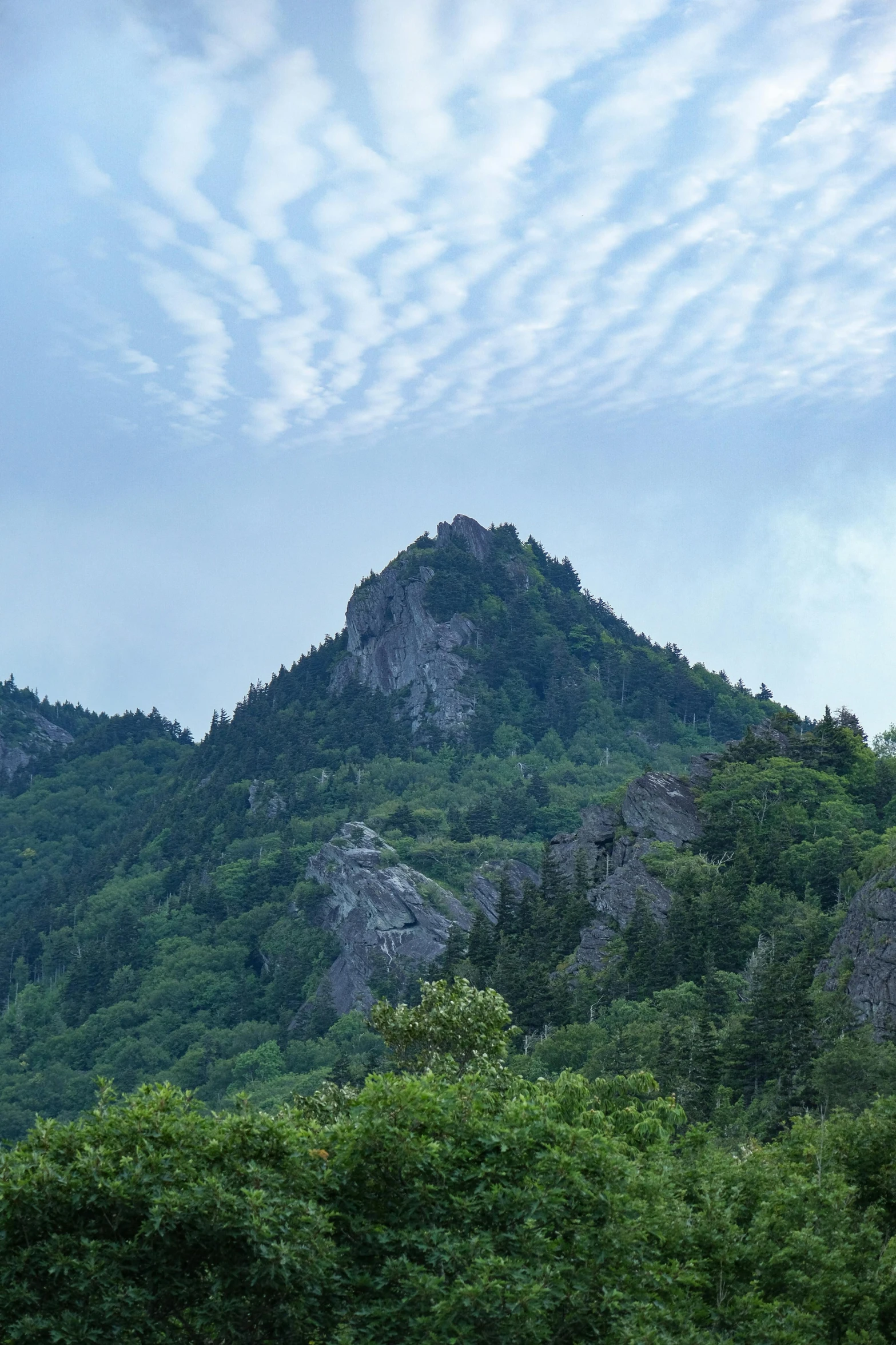 the mountain is high and has trees growing on it