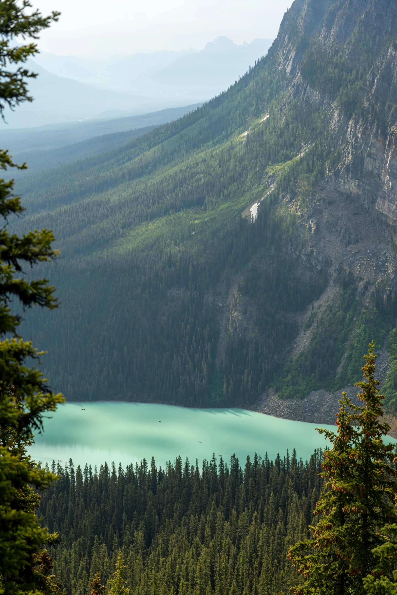 a large lake is in the middle of an empty wooded area