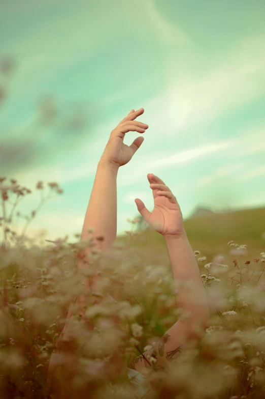 a woman is reaching up for the sky in a field of flowers