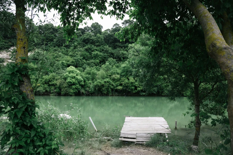 a green and calm body of water surrounded by woods