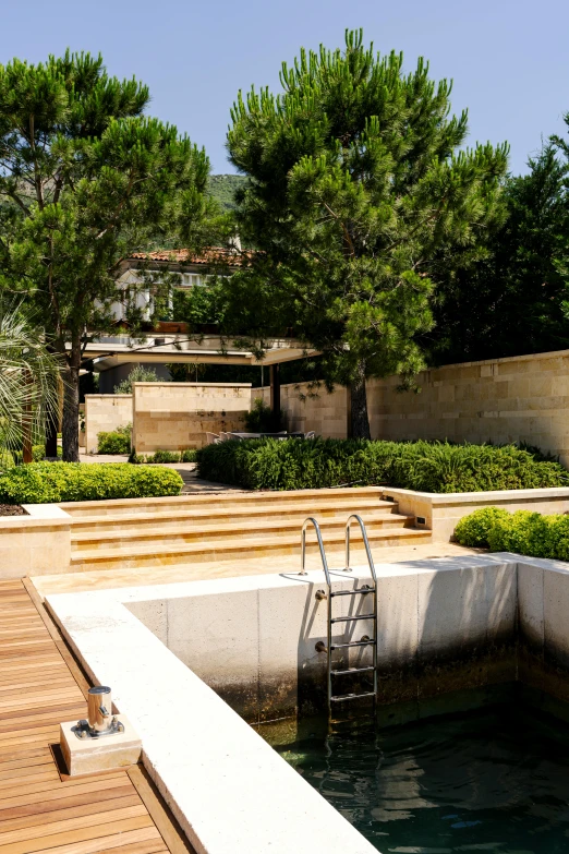 a wooden dock in a large green pond