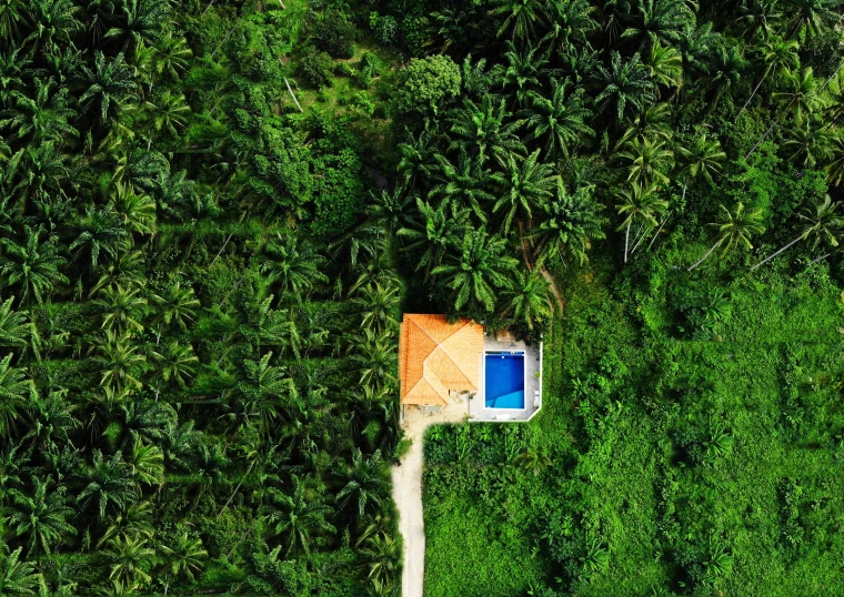 a house in the middle of a green jungle