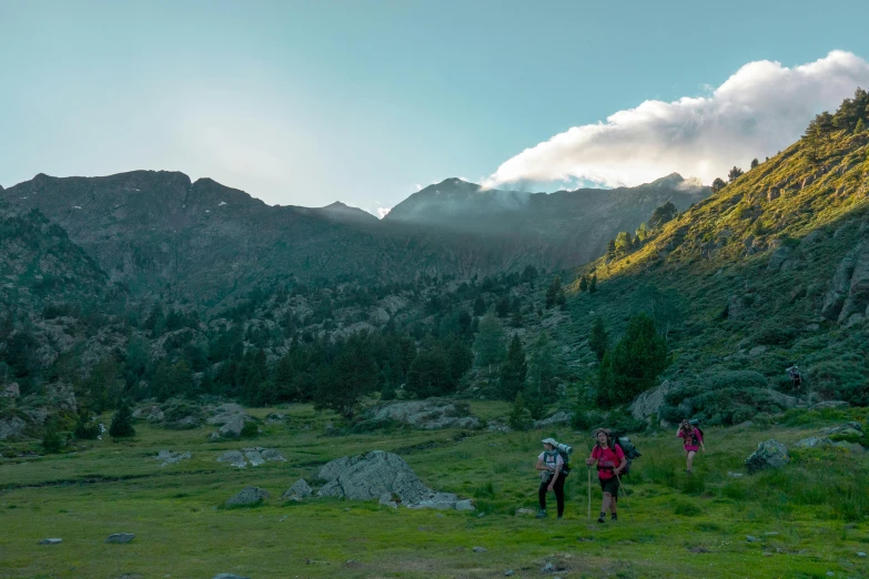 four people with backpacks and a dog hiking up the side of a mountain