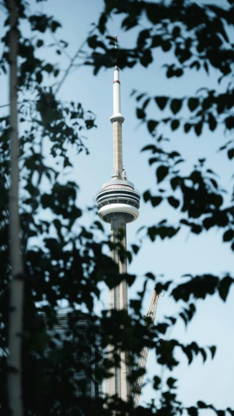 there are some leaves on the tree and the tower