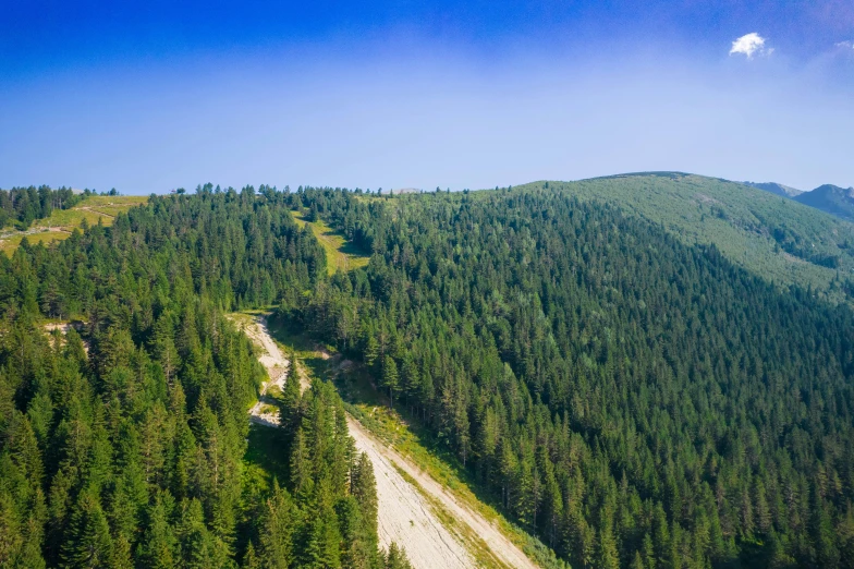 a scenic po of a mountain and forest