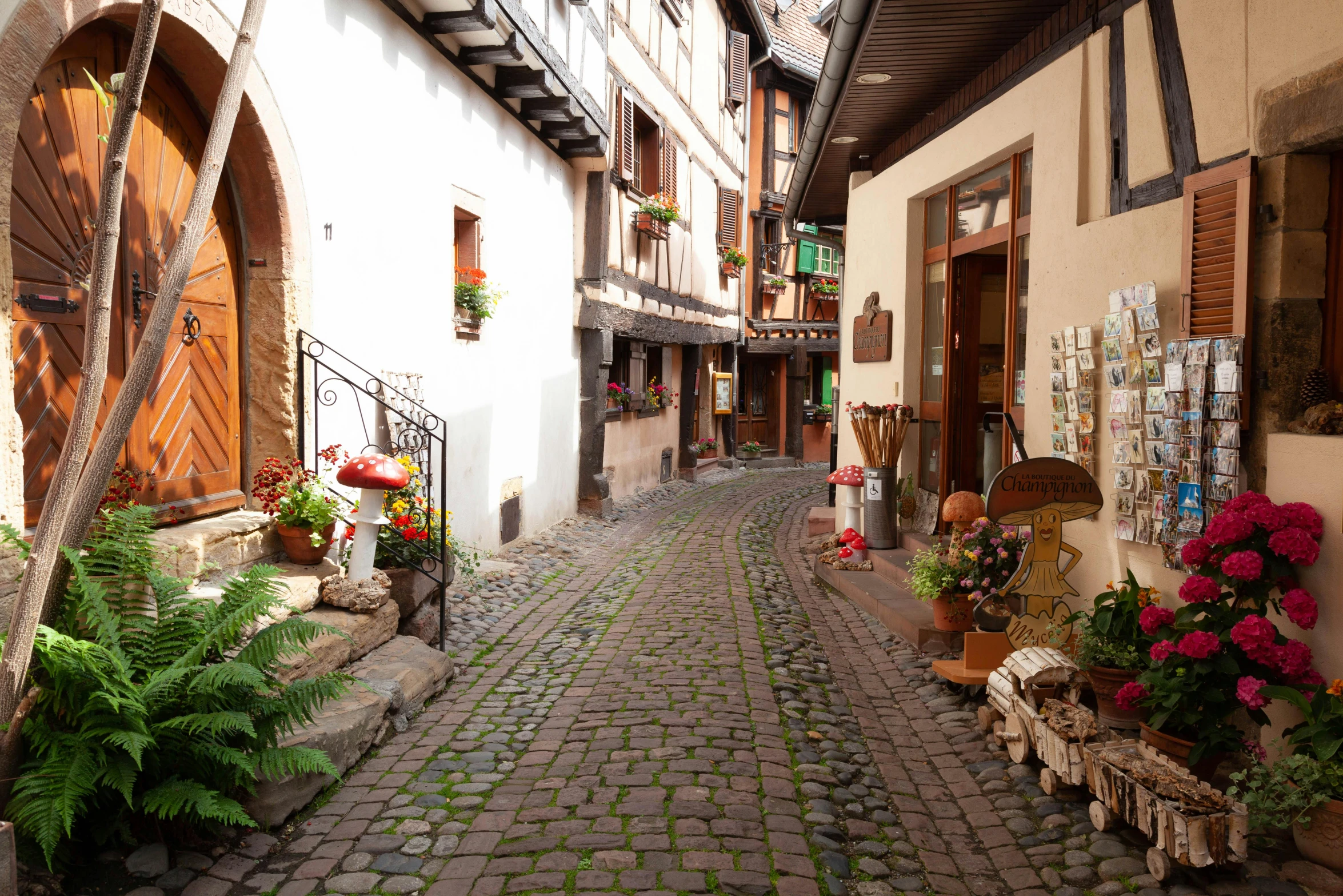 several flower pot are on the cobblestone sidewalk