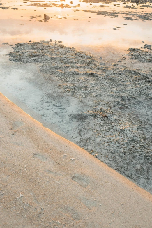 the yellow and brown fire hydrant is on the ground