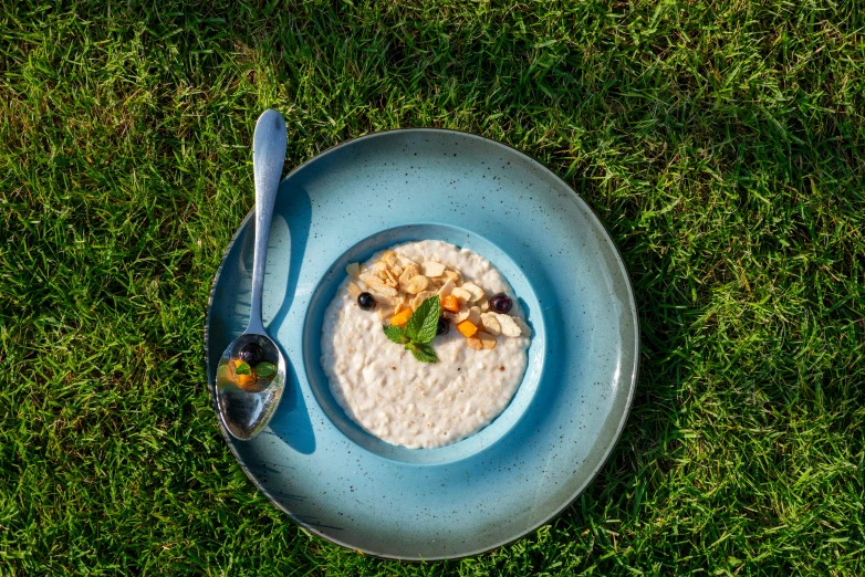 an aerial view of a bowl of oatmeal in the grass