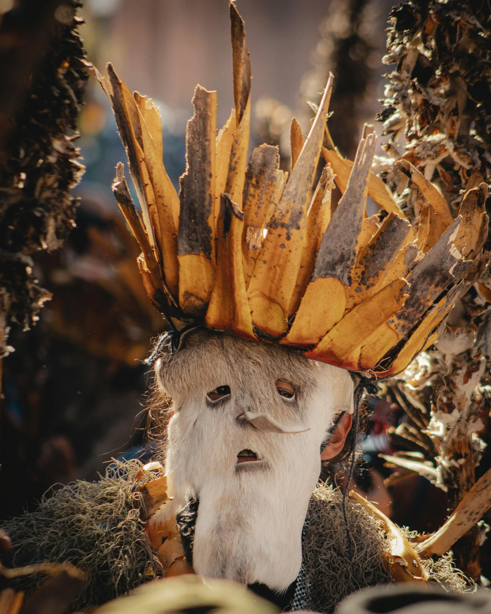 an elderly man is wearing a large crown of bananas