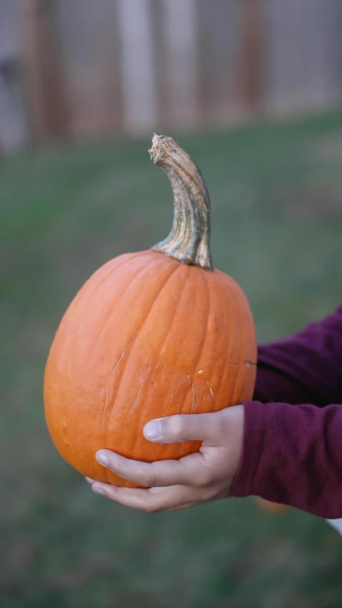 a little boy holding a large pumpkin outside