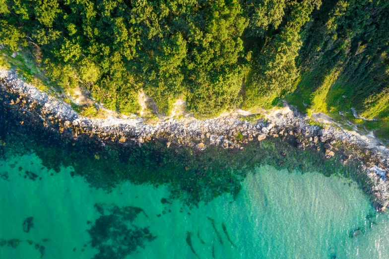 a po from above shows an aerial view of a body of water with trees in the background