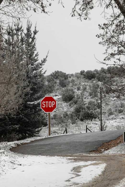 a stop sign by a winding road covered in snow