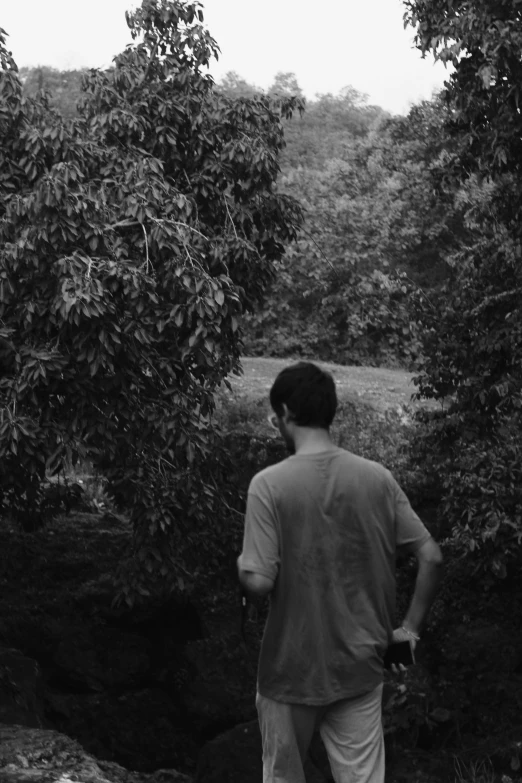 there is a man standing among the trees in the park