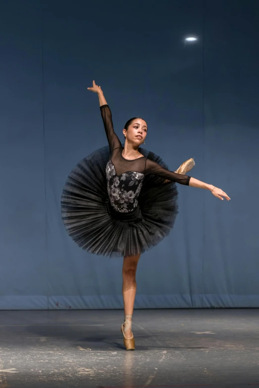 a ballerina dressed in a tutu dancing