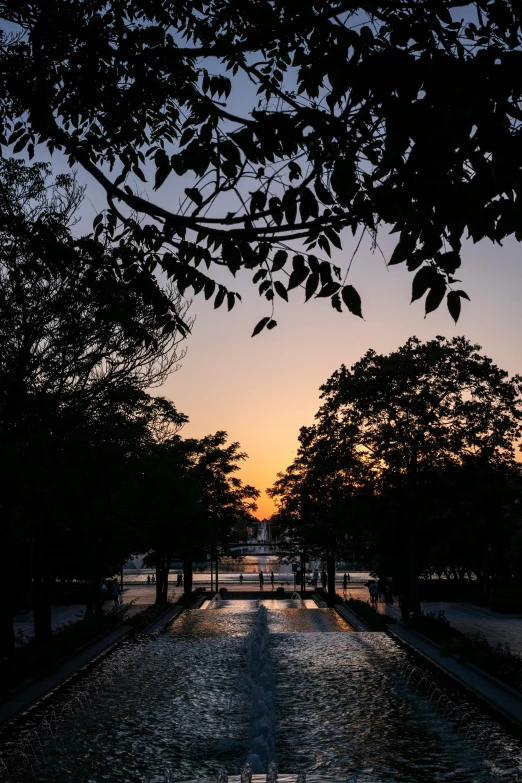 the sun sets behind trees on the walking path