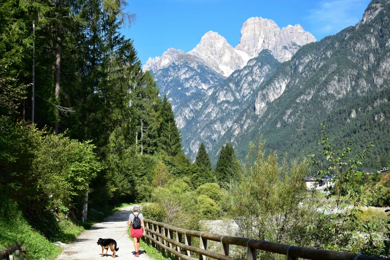 a person on a dirt path with trees and mountain in the background