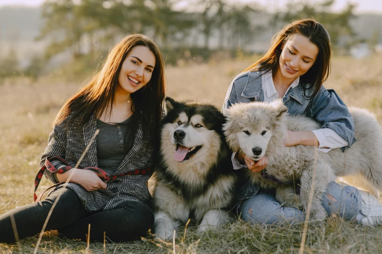 two women sit in the grass with dogs