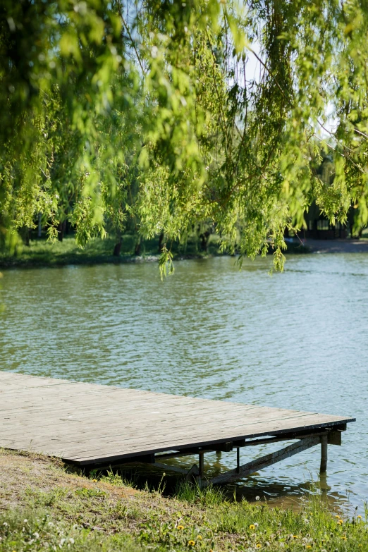 a boat dock sitting on the water near a tree