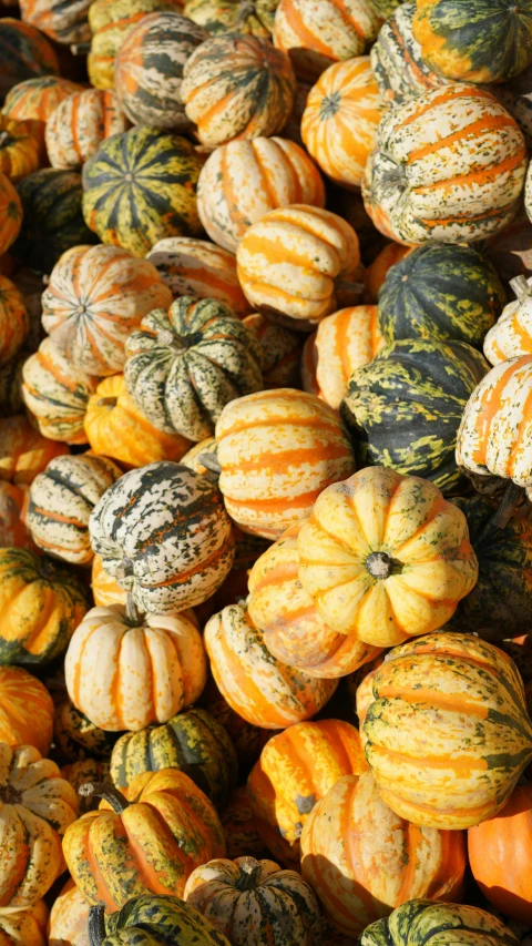 a pile of pumpkins are in orange and green