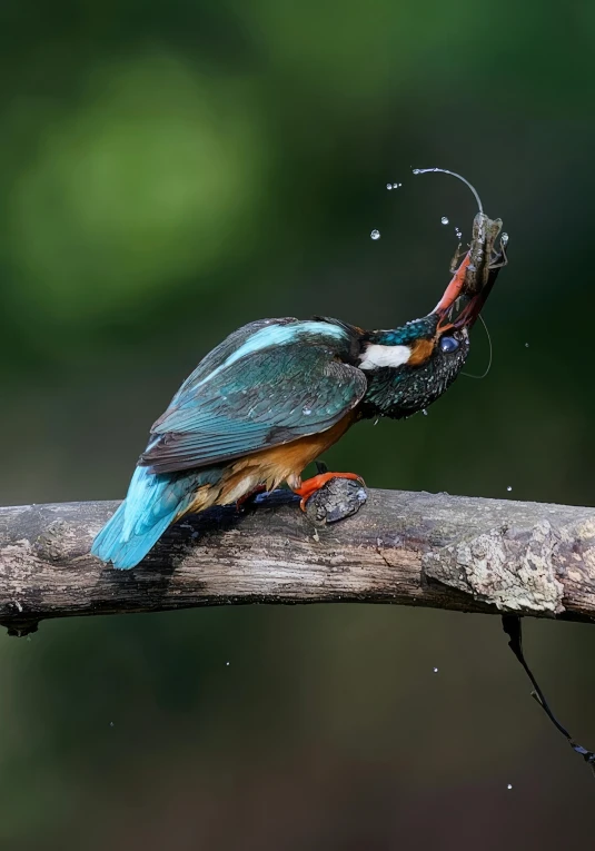 a bird sits on top of a nch eating a bug