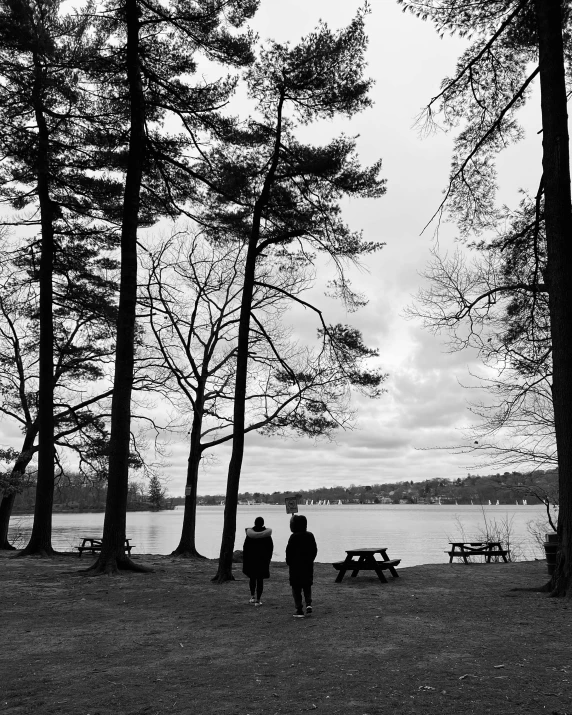 two people are walking in the park with trees