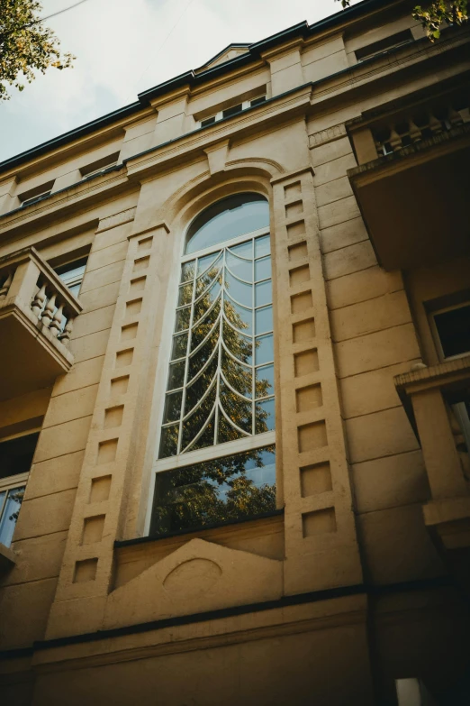 the reflection of a tree in a windows on a building