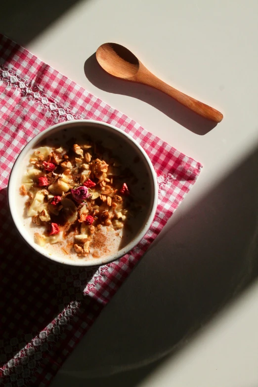 a bowl of oats and a spoon on a table cloth