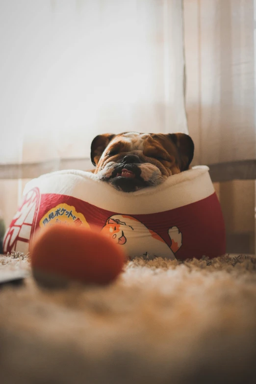 a dog is laying down on his bed