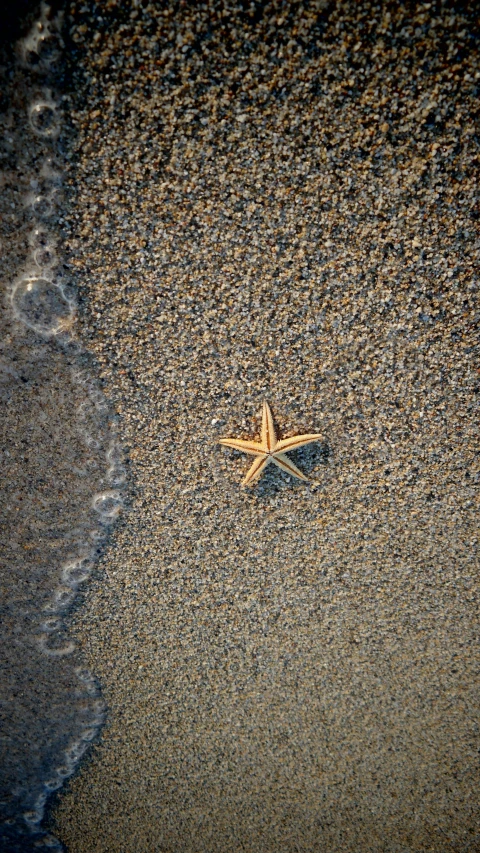 a starfish on the beach of a tropical island